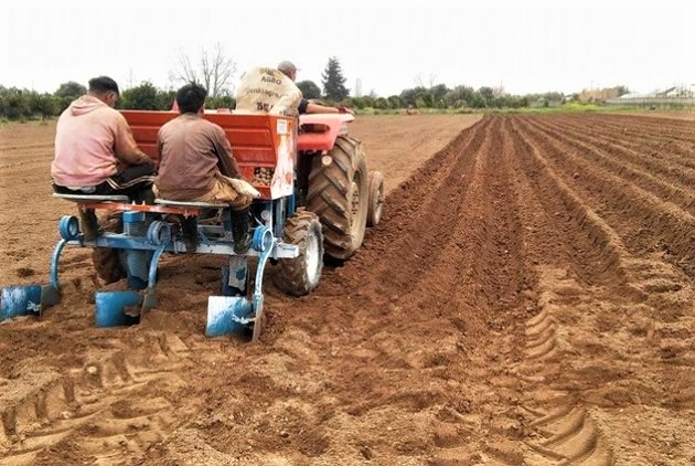 Σαββατοκύριακο σε ένα Οικολογικό Αγρόκτημα «Διαμάντι»