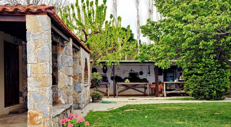 Σαββατοκύριακο σε ένα Οικολογικό Αγρόκτημα «Διαμάντι»