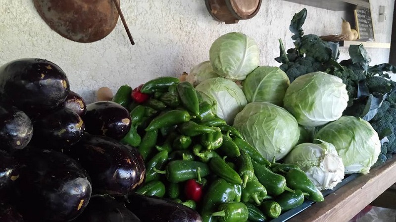 Σαββατοκύριακο σε ένα Οικολογικό Αγρόκτημα «Διαμάντι»