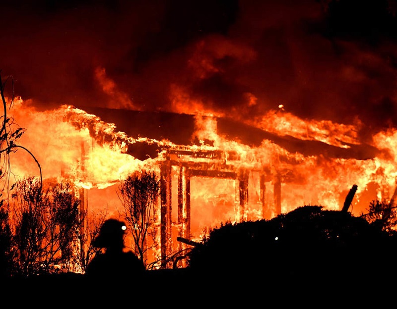 stachti-megala-oinopoieia-apo-tis-fonikes-pyrkagies-stin-kalifornia-foto-101149