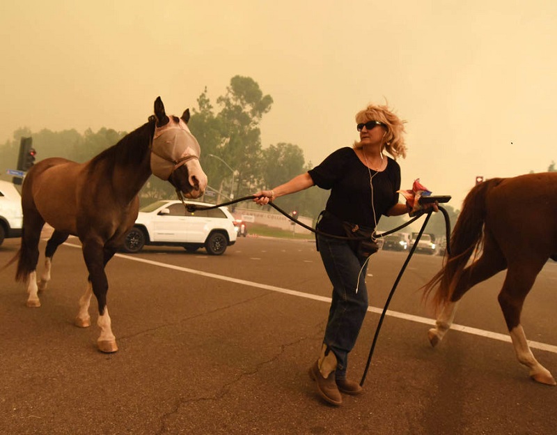 Στάχτη μεγάλα οινοποιεία από τις φονικές πυρκαγιές στην Καλιφόρνια (Φωτό)