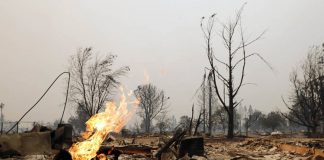 Στάχτη μεγάλα οινοποιεία από τις φονικές πυρκαγιές στην Καλιφόρνια (Φωτό)