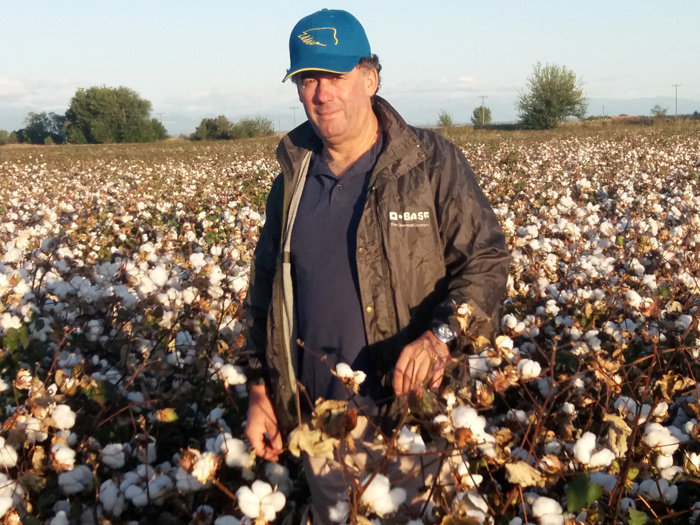 vamvaki-petropoulos-synagros