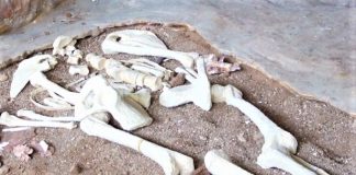Βρέθηκαν ανθρώπινα οστά σε κτίσμα στη Μάνη – Ανοίγει ο φάκελος της υπόθεσης Παπαγεωργίου