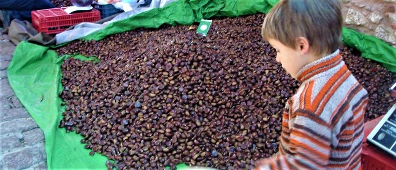 Στις 12/11 ξεκινάει η 14η Γιορτή Κάστανου στην ορεινή Αγιάσο