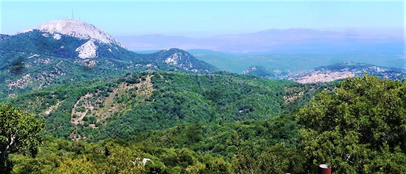 Στις 12/11 ξεκινάει η 14η Γιορτή Κάστανου στην ορεινή Αγιάσο