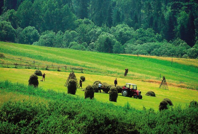 agrotes-ee agrotes-ee