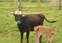 Ανησυχούν οι γεωργο-κτηνοτρόφοι για την μη δυνατότητα ένταξης εκμεταλλεύσεων σε περισσότερα Αγροπεριβαλλοντικά Μέτρα