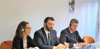 Copa-Cogeca: Ανακάμπτει η παραγωγή ελαιολάδου στην ΕΕ