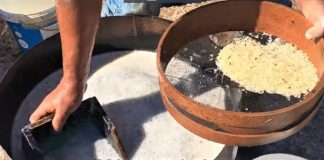 Δείτε το παραδοσιακό πλύσιμο της μοναδικής μαστίχας Χίου! (Βίντεο)