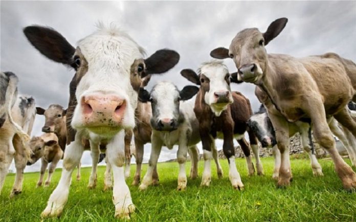 H ελληνική γεωργία και κτηνοτροφία καλείται να μειώσει τoυς ρύπους κατά 4%