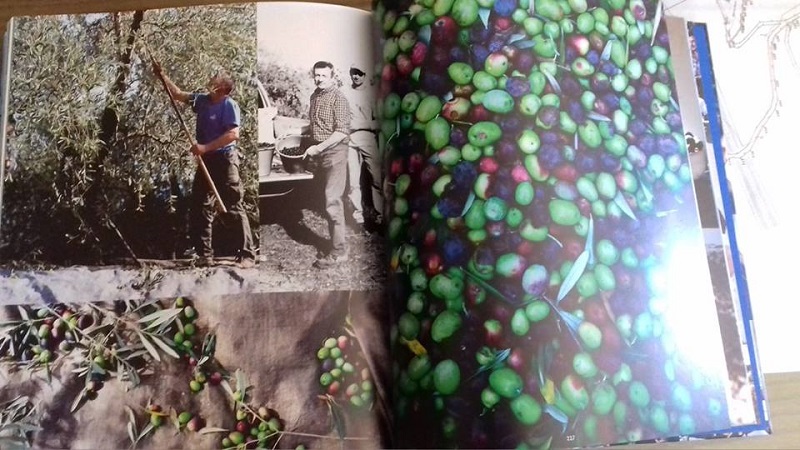 Επετειακό λεύκωμα για τον αιωνόβιο Συνεταιρισμό ZAGORIN και τους ανθρώπους του