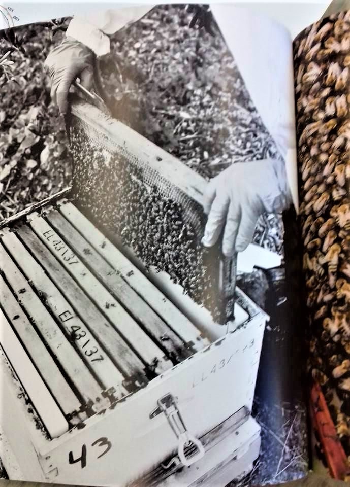 Επετειακό λεύκωμα για τον αιωνόβιο Συνεταιρισμό ZAGORIN και τους ανθρώπους του