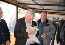 Επίσκεψη Τσιρώνη στις εγκαταστάσεις του Διαδημοτικού Κέντρου Περίθαλψης Αδέσποτων Ζώων