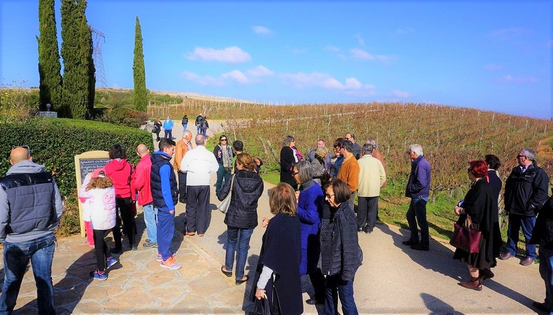 Φιλανθρωπικό bazaar με πάνω από 40 εκθέτες με ποικίλα προϊόντα στο Κτήμα Κοκοτού 