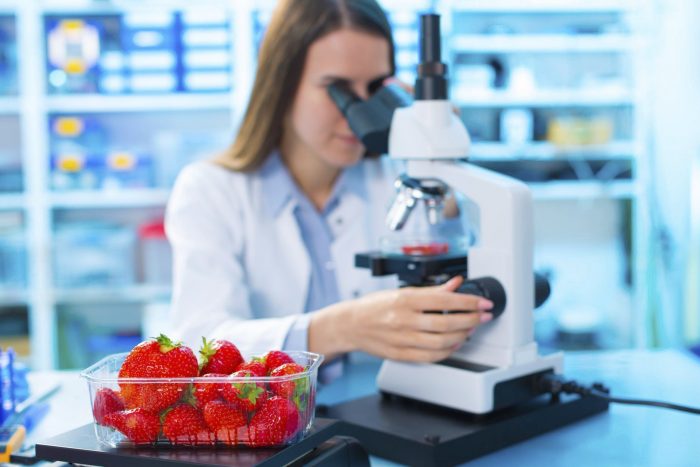 nees-technologies-prosferoun-megalyteri-diarkeia-zois-se-frouta-kai-lachanika-stin-ellada-103955