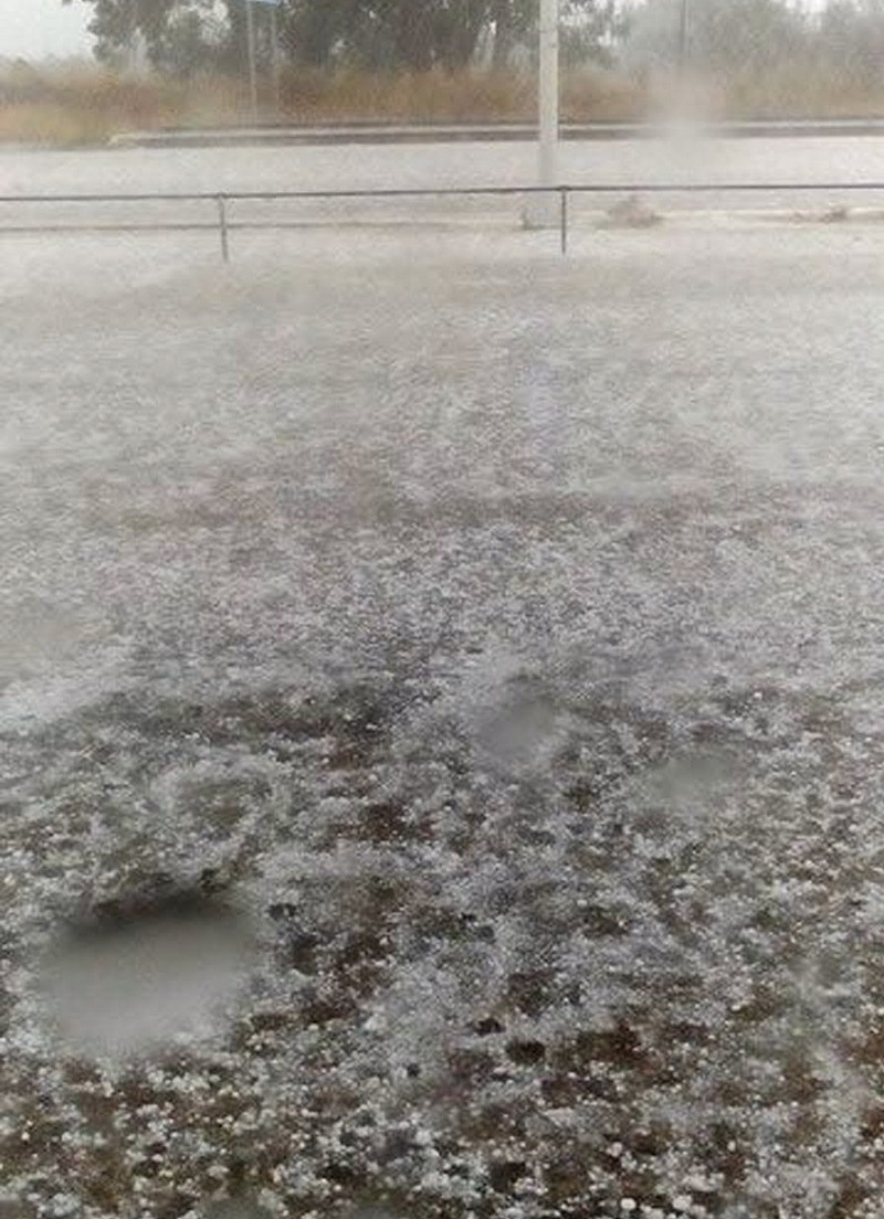 Μεγάλη ζημιά προκάλεσε στους παραγωγούς το χαλάζι στην Αργολίδα