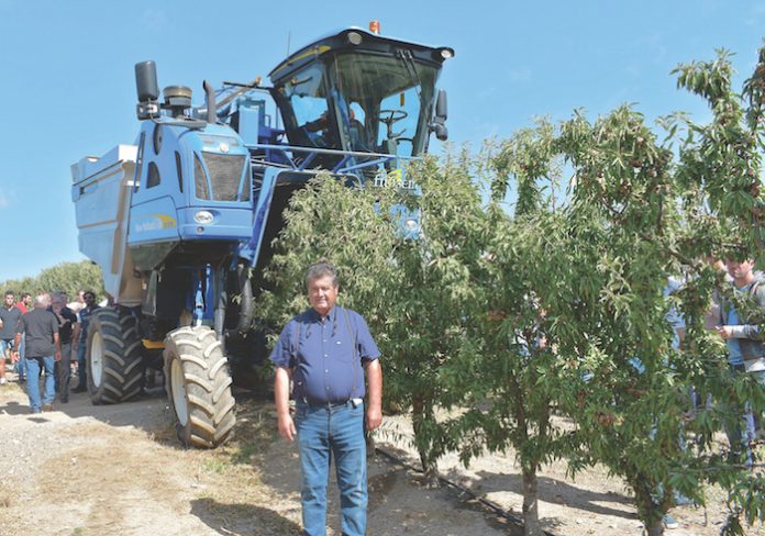 Ηµερίδα για τους ξηρούς καρπούς από το ΤΕΙ Θεσσαλίας Ηµερίδα για τους ξηρούς καρπούς από το ΤΕΙ Θεσσαλίας