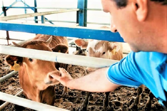 erga-veltiosis-ypodomon-gia-ktinotrofikes-monades-stin-ipeiro-106105