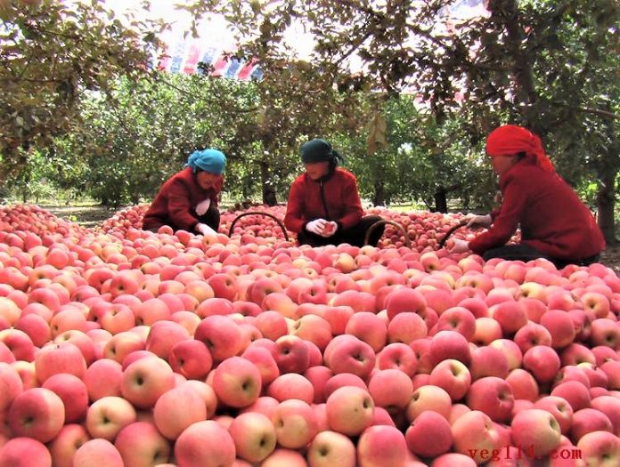Τα αγροτικά προϊόντα της ενδοχώρας της Κίνας κατακλύζουν τα τραπέζια του κόσμου