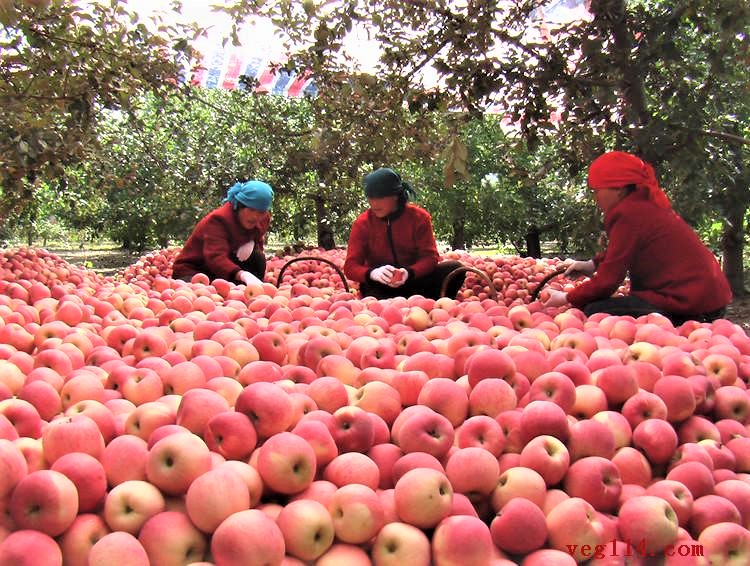 ta-agrotika-proionta-tis-endochoras-tis-kinas-kataklyzoun-ta-trapezia-tou-kosmou-106375