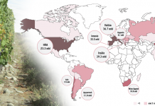 Σε χαμηλά άνω των 50 ετών η φετινή παγκόσμια παραγωγή κρασιού
