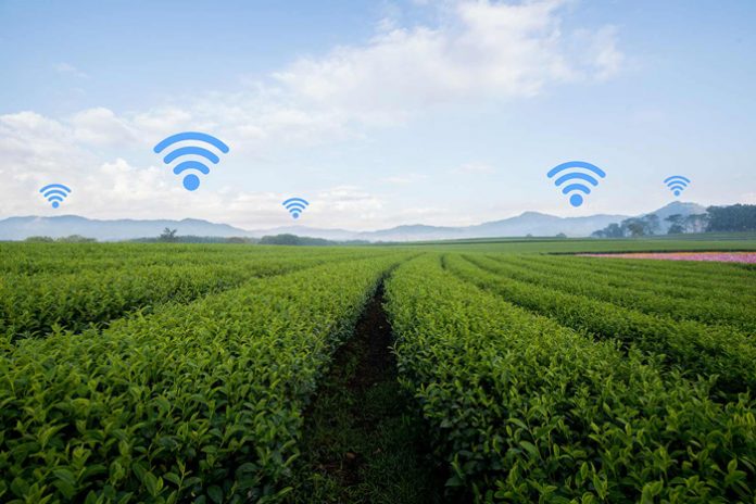 smart-farming-wifi-xorafia smart-farming-wifi-xorafia