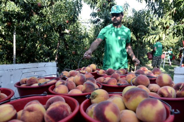 Η Ευρωπαϊκή Επιτροπή αποθεώνει τον ΑΣΕΠΟΠ Βελβεντού (Φωτό)