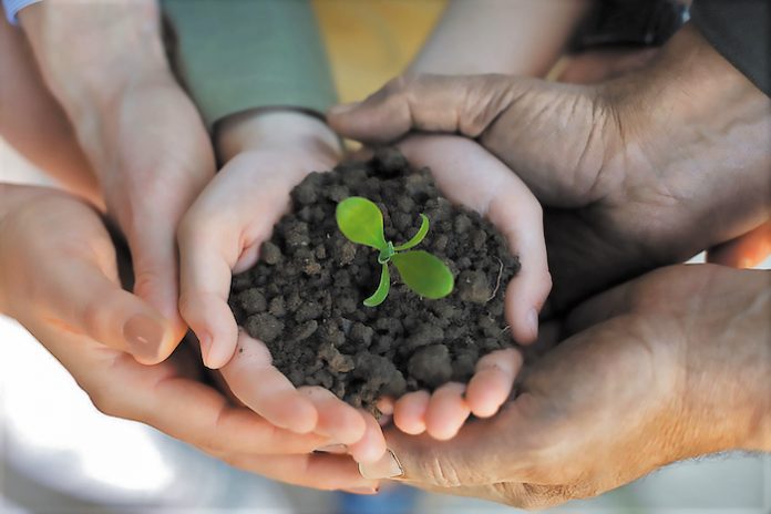 farmers family holding a fresh young plant Από «εξετάσεις» θα περνούν οι Επιχειρησιακές Οµάδες Καινοτοµίας