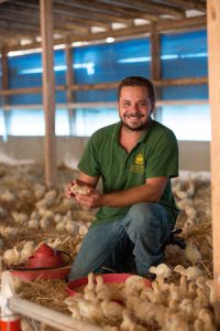 Με 20.000 νωπές γαλοπούλες θα δηλώσει και φέτος το «παρών» στα ράφια των αλυσίδων σούπερ μάρκετ με πανελλαδικό δίκτυο και σε κρεοπωλεία η Αμερικανική Γεωργική Σχολή.