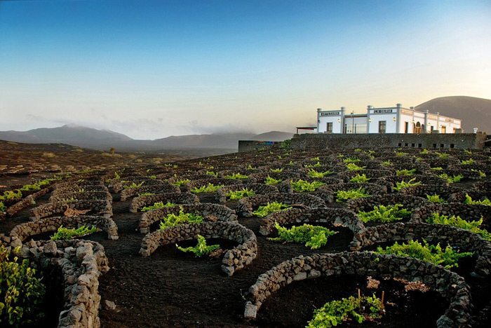 ifaisteiaka-krasia-volcanic-wine