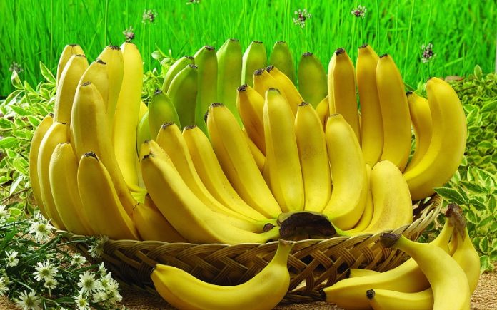 Ο κίνδυνος της εξαφάνισης απειλεί ξανά την μπανάνα