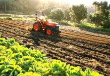 Κόκκαλης: Άμεση λήψη μέτρων στην ελληνική γεωργία για την κλιματική αλλαγή