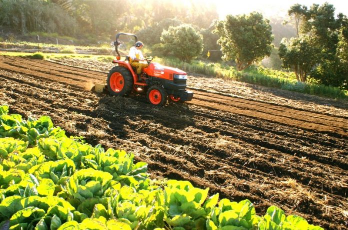 kokkalis amesi lipsi metron elliniki georgia klimatiki allagi Κόκκαλης: Άμεση λήψη μέτρων στην ελληνική γεωργία για την κλιματική αλλαγή
