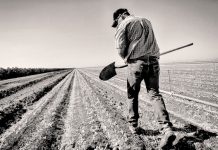 Μειώνεται ανησυχητικά ο αριθμός των αγροτών στην ΕΕ