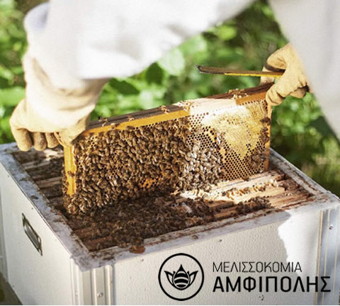 Το μέλι της Αμφίπολης θριάμβευσε σε έκθεση τροφίμων στη Σουηδία  