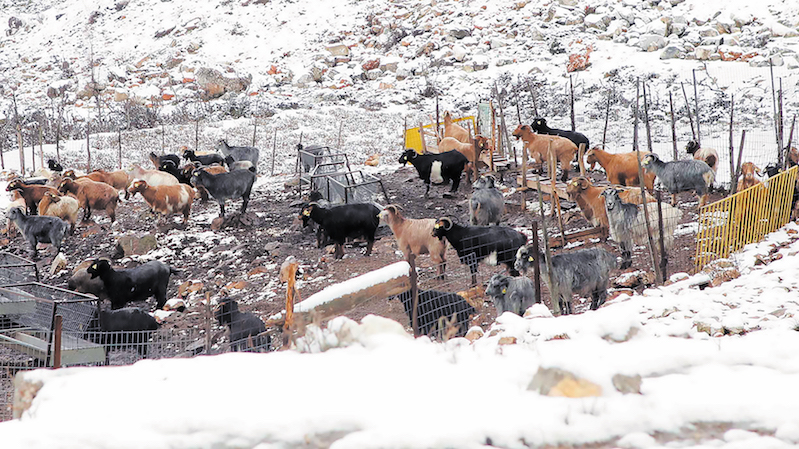 epideinosi-tou-kairou-me-ischyres-kataigides-kai-chionoptoseis-110087