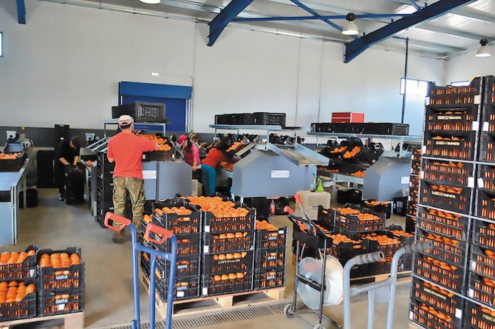 Πρόγραμμα Emigrate: Απόβλητα τόσο «καθαρά», που ξαναπέφτουν στο χωράφι Πρόγραμμα Emigrate: Απόβλητα τόσο «καθαρά», που ξαναπέφτουν στο χωράφι