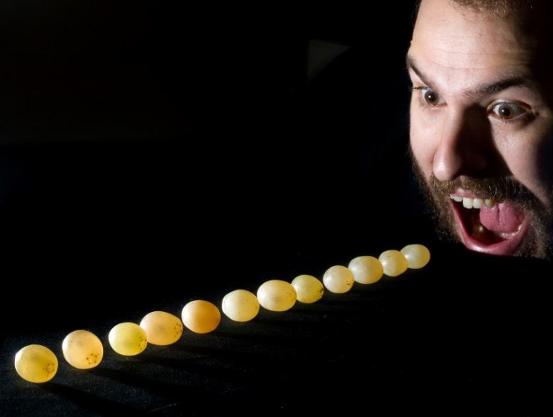 Τα 10 πιο παράξενα γούρια για την Πρωτοχρονιά από όλο τον κόσμο (pics)