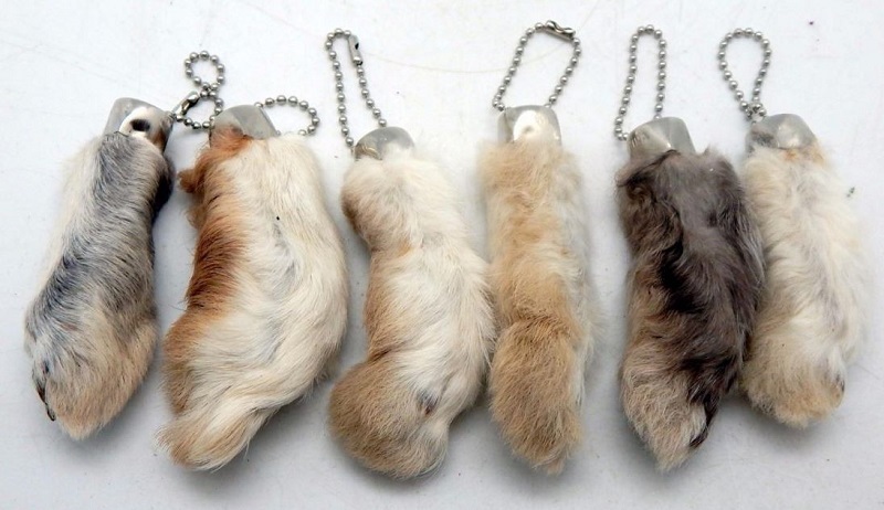 Τα 10 πιο παράξενα γούρια για την Πρωτοχρονιά από όλο τον κόσμο (pics)