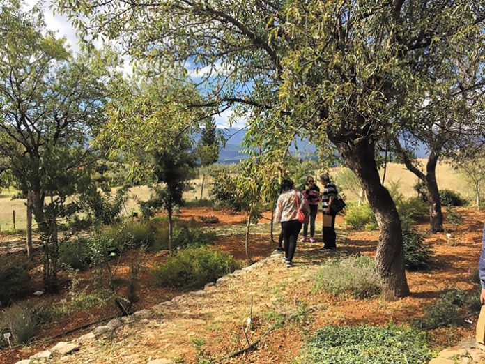 votanikos-kipos-delfon