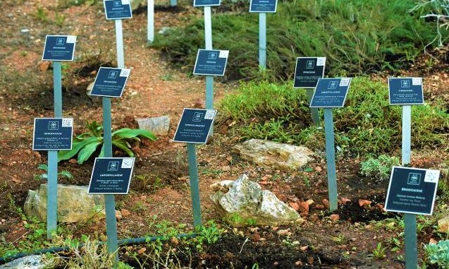 «PINDOS WILD HERBS» ένα εγχείρημα για τα παιδιά της Πίνδου