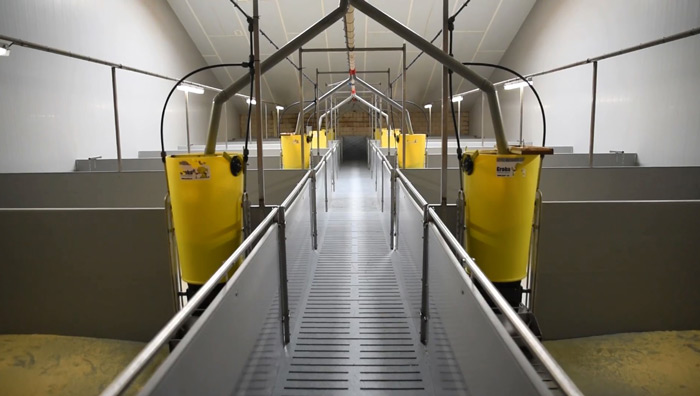 Van-Veldhuizen farma