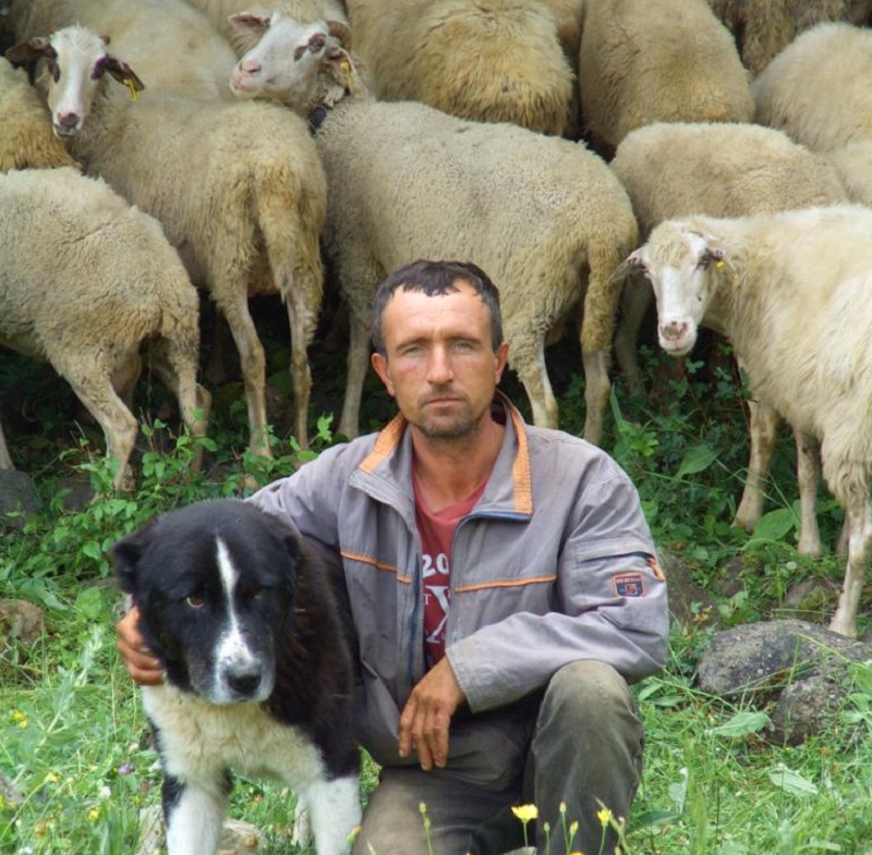 agrotica-2018-h-kallisto-enimeronei-tous-agrotes-gia-zimies-apo-arkouda-kai-lyko-113394