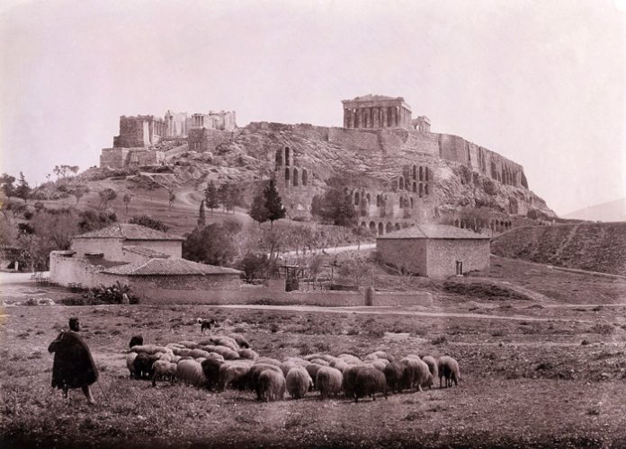 athina-ktinotrofia-arxeio athina-ktinotrofia-arxeio