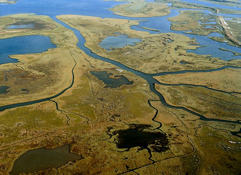 entopistike-soros-andra-sto-delta-tou-potamou-evrou-111242