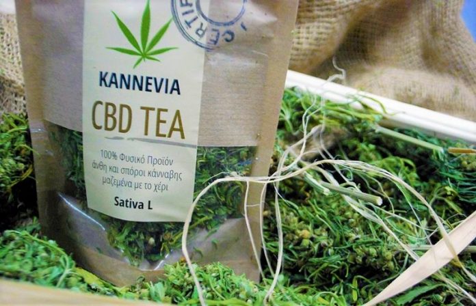 kannevia proto elliniko tsai viomixanikis kannavis1 Το πρώτο ελληνικό τσάι βιομηχανικής κάνναβης είναι από τα Ψαχνά Ευβοίας