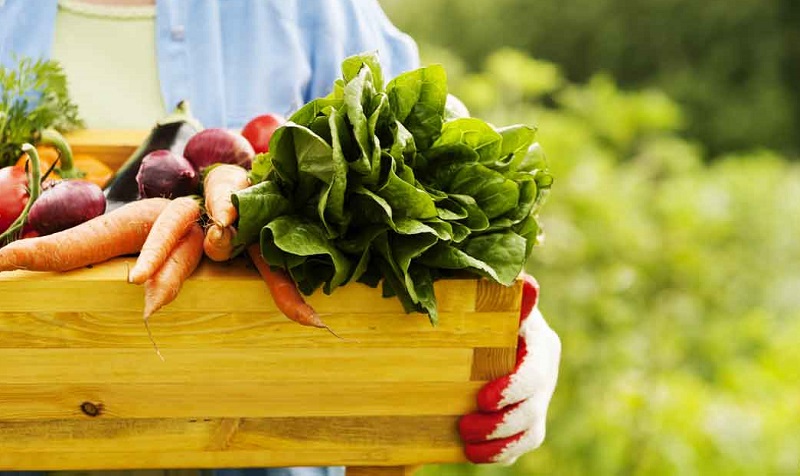 komision-imerida-gia-programmata-proothisis-agrotikon-proionton-chrimatodotisi-75-85-110861