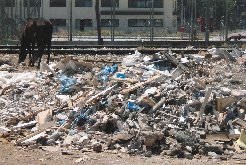 Να πώς ζουν άλογα, γαϊδούρια και μουλάρια στην Ελλάδα (Φωτό)