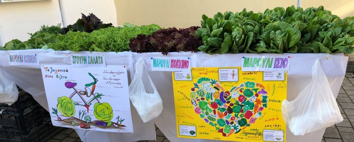 olinthos-sxoleio-viologika-proionta